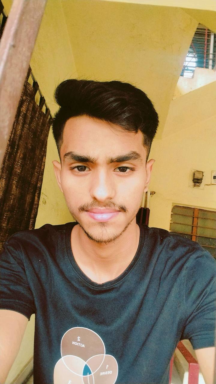 Portrait of Aryan Kumar, Web Developer of Project Larry